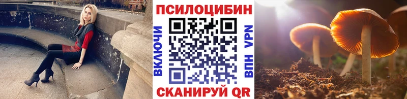 где найти   Аткарск  Галлюциногенные грибы Magic Shrooms 